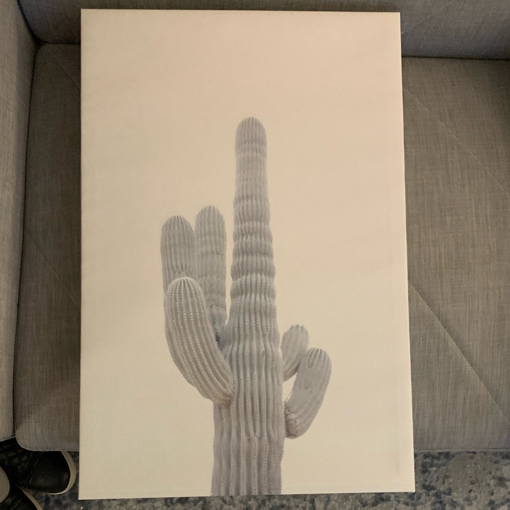 Cactus Cavas Wall Art